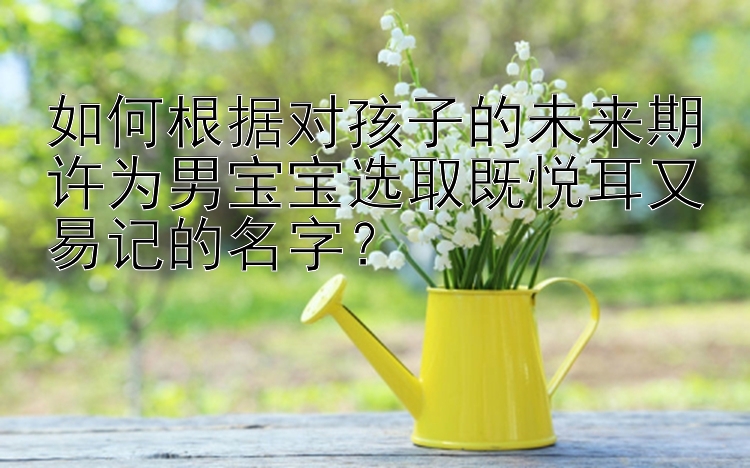 如何根据对孩子的未来期许为男宝宝选取既悦耳又易记的名字？