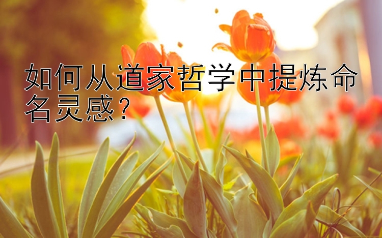 如何从道家哲学中提炼命名灵感？