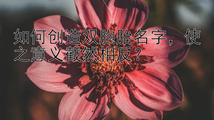 如何创造双胞胎名字，使之意义截然相反？