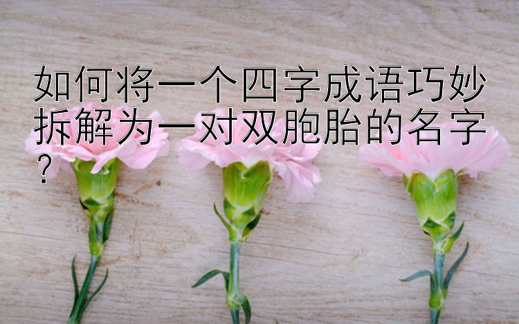 如何将一个四字成语巧妙拆解为一对双胞胎的名字？