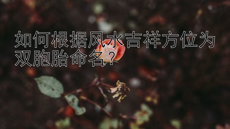 如何根据风水吉祥方位为双胞胎命名？