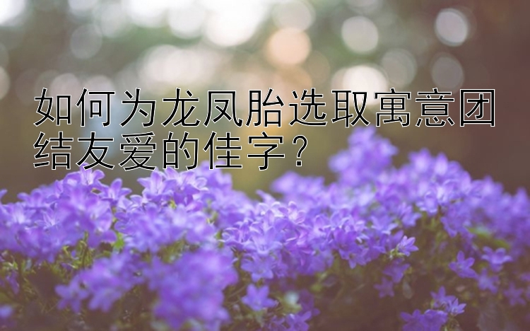 如何为龙凤胎选取寓意团结友爱的佳字？