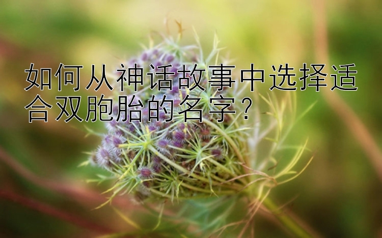 如何从神话故事中选择适合双胞胎的名字？