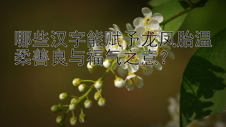 哪些汉字能赋予龙凤胎温柔善良与福气之意？