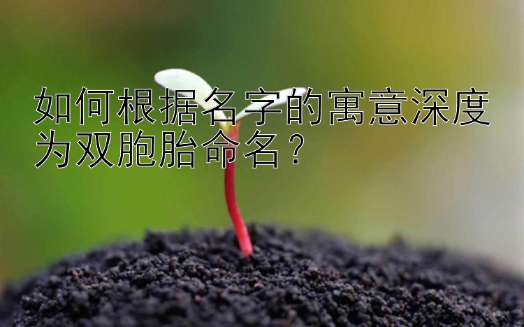 如何根据名字的寓意深度为双胞胎命名？