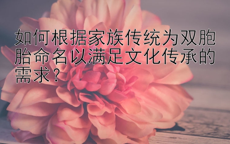 如何根据家族传统为双胞胎命名以满足文化传承的需求？