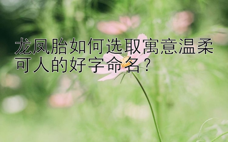 龙凤胎如何选取寓意温柔可人的好字命名？