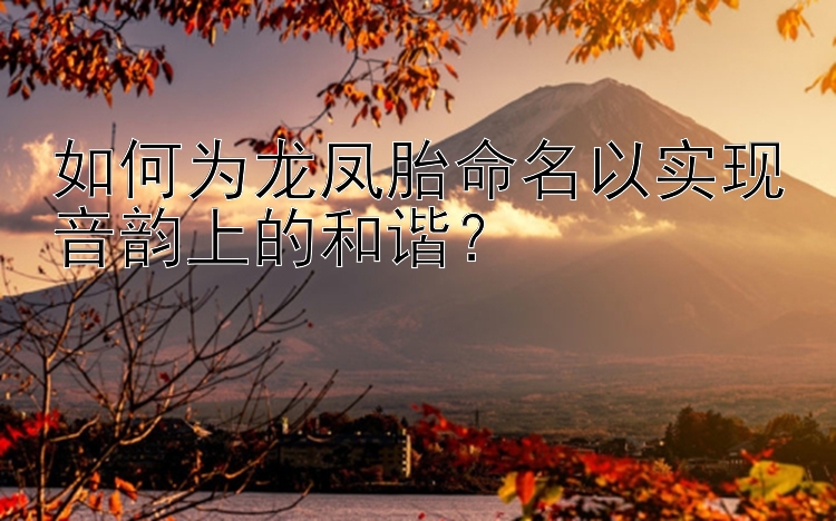 大发官方直属注册邀请码大发快邀请码   如何为龙凤胎命名以实现音韵上的和谐？