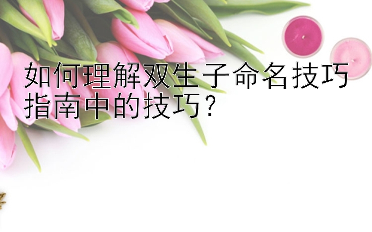 如何理解双生子命名技巧指南中的技巧？