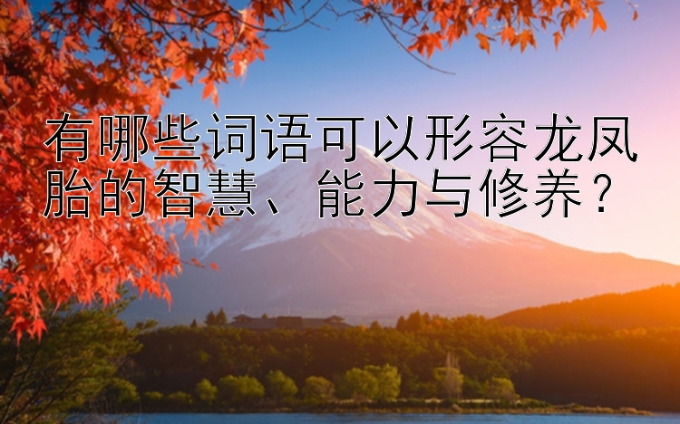 有哪些词语可以形容龙凤胎的智慧、能力与修养？