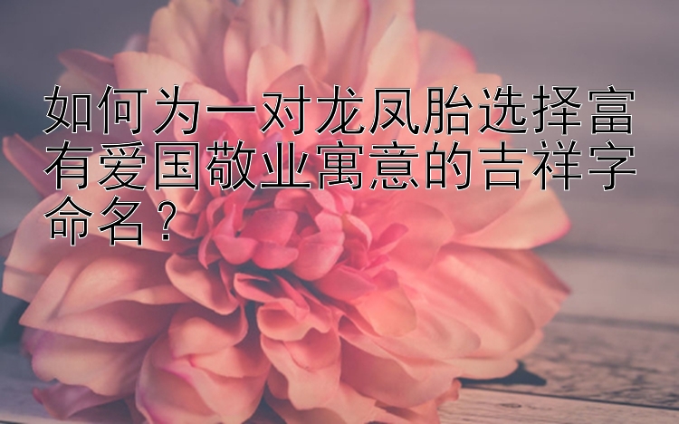 如何为一对龙凤胎选择富有爱国敬业寓意的吉祥字命名？