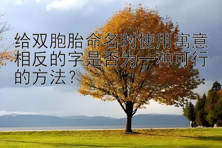 给双胞胎命名时使用寓意相反的字是否为一种可行的方法？