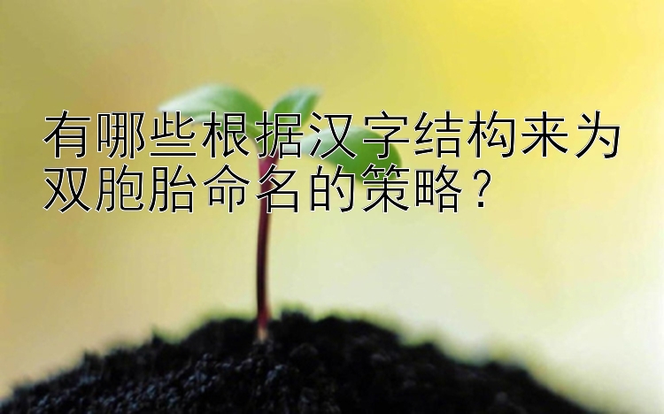 有哪些根据汉字结构来为双胞胎命名的策略？