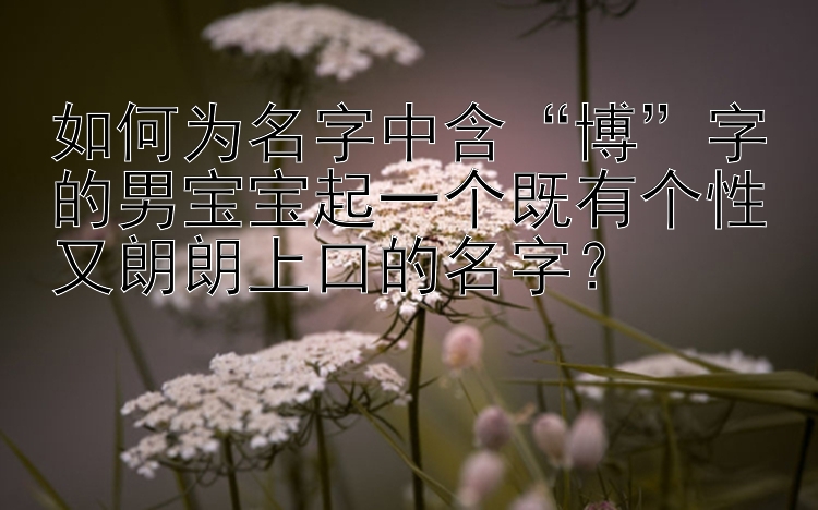 如何为名字中含“博”字的男宝宝起一个既有个性又朗朗上口的名字？