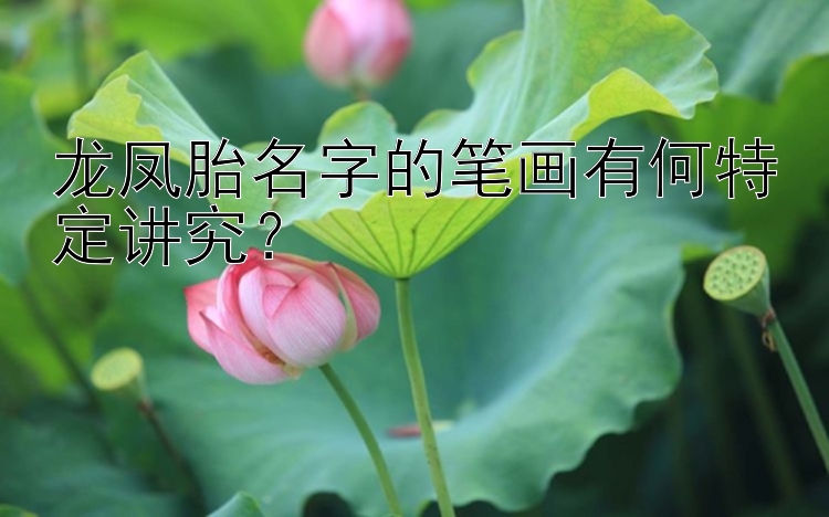 龙凤胎名字的笔画有何特定讲究？