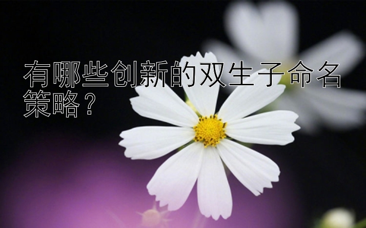 有哪些创新的双生子命名策略？