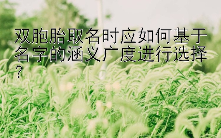 双胞胎取名时应如何基于名字的涵义广度进行选择？