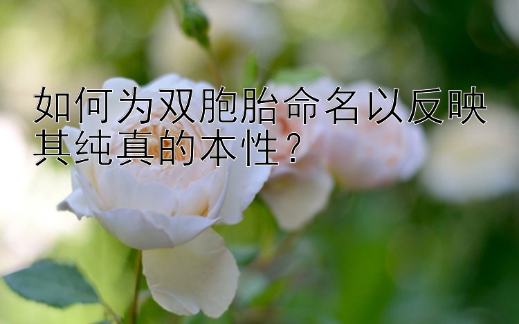 如何为双胞胎命名以反映其纯真的本性？