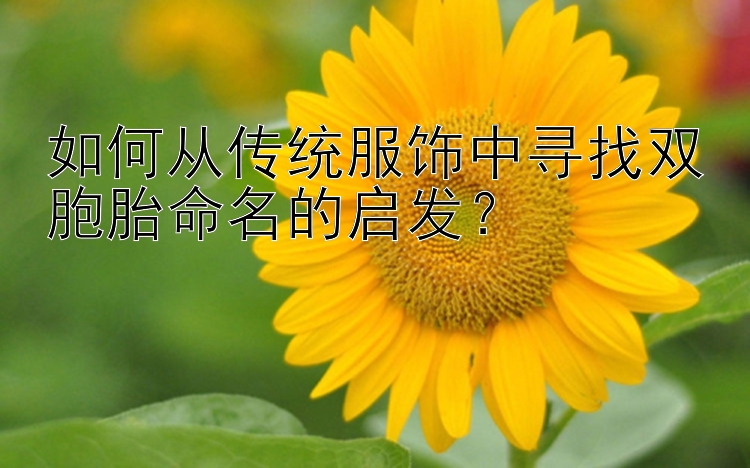 如何从传统服饰中寻找双胞胎命名的启发？