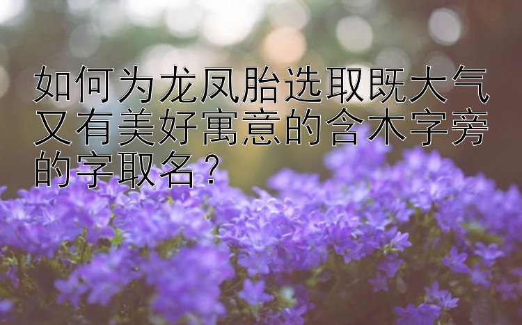 如何为龙凤胎选取既大气又有美好寓意的含木字旁的字取名？