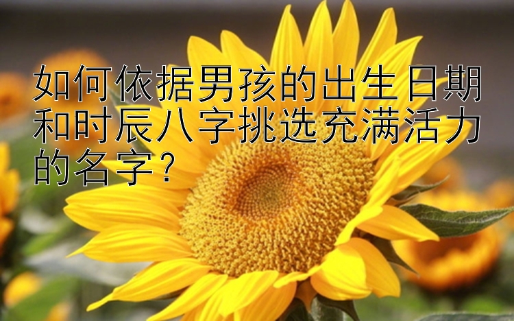 如何依据男孩的出生日期和时辰八字挑选充满活力的名字？