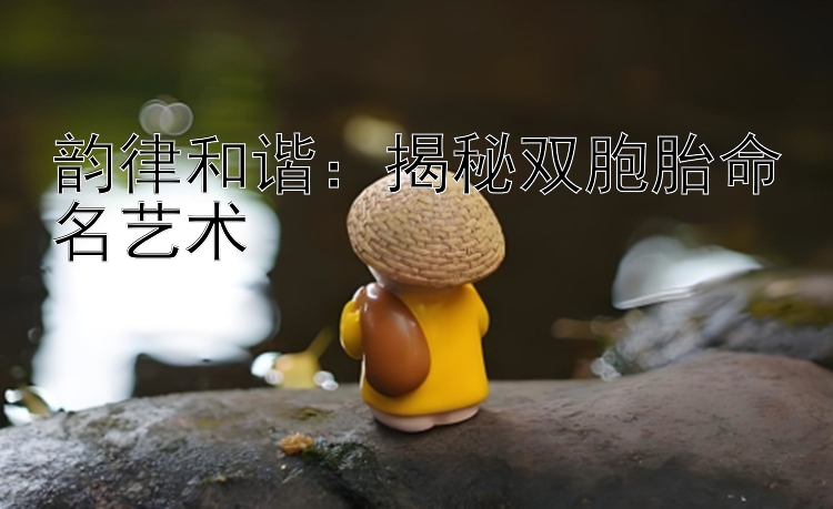 韵律和谐：揭秘双胞胎命名艺术