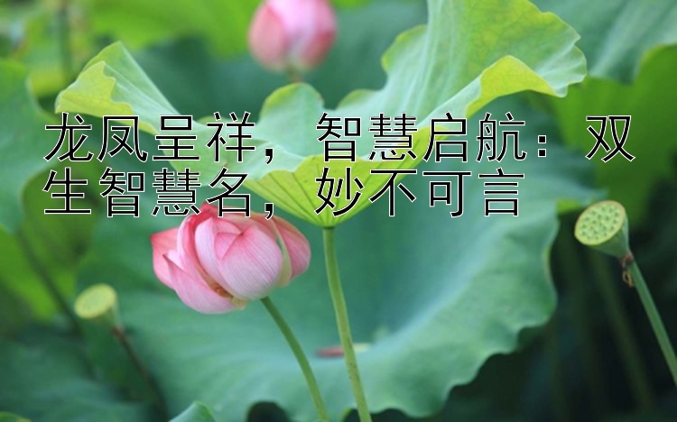 龙凤呈祥，智慧启航：双生智慧名，妙不可言