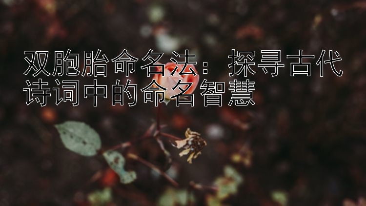 双胞胎命名法：探寻古代诗词中的命名智慧