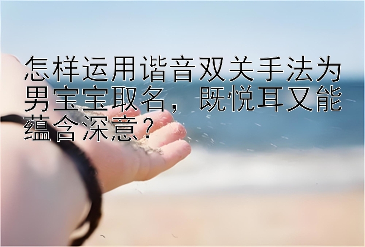 怎样运用谐音双关手法为男宝宝取名，既悦耳又能蕴含深意？