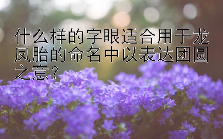 什么样的字眼适合用于龙凤胎的命名中以表达团圆之意？