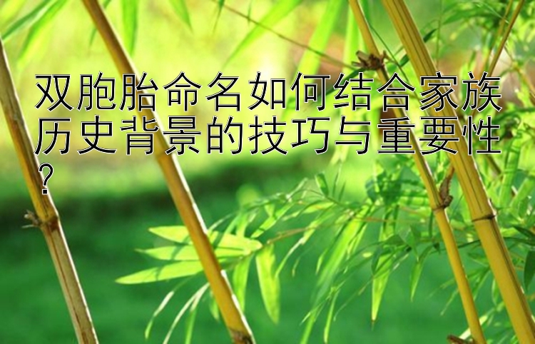 双胞胎命名如何结合家族历史背景的技巧与重要性？