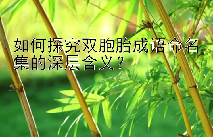 如何探究双胞胎成语命名集的深层含义？