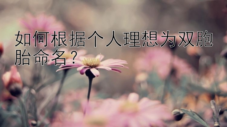 如何根据个人理想为双胞胎命名？