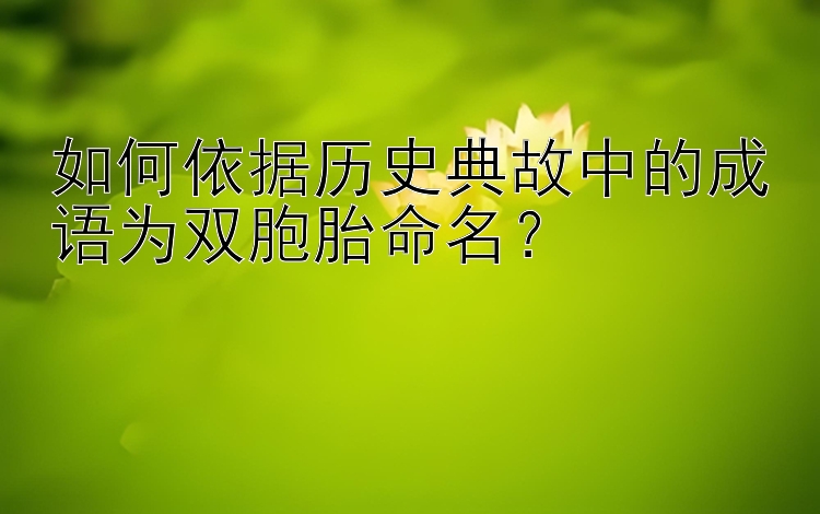 如何依据历史典故中的成语为双胞胎命名？