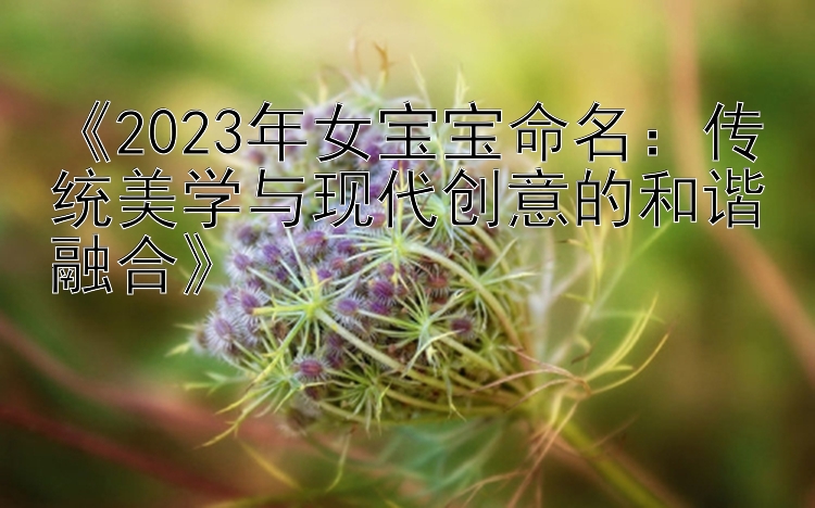 《2023年女宝宝命名：传统美学与现代创意的和谐融合》