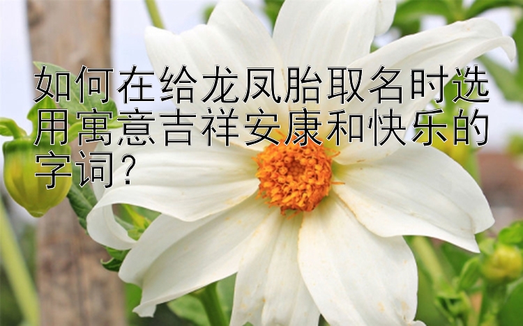 如何在给龙凤胎取名时选用寓意吉祥安康和快乐的字词？