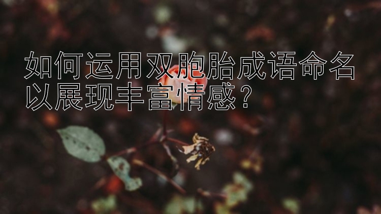 如何运用双胞胎成语命名以展现丰富情感？