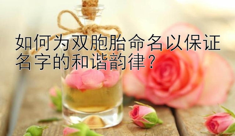 如何为双胞胎命名以保证名字的和谐韵律？