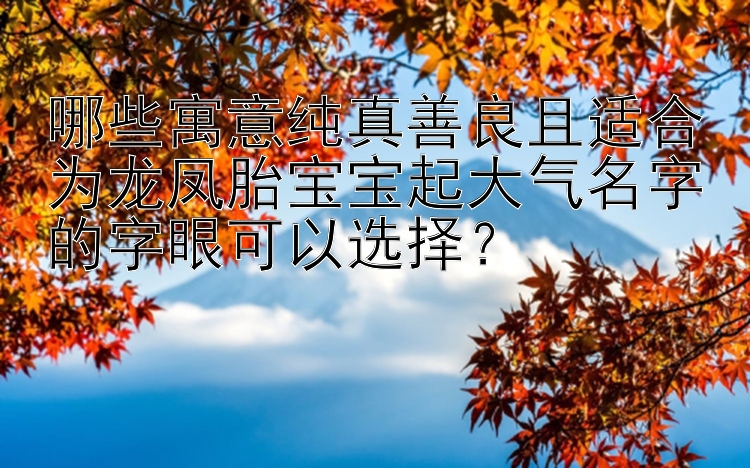 哪些寓意纯真善良且适合为龙凤胎宝宝起大气名字的字眼可以选择？