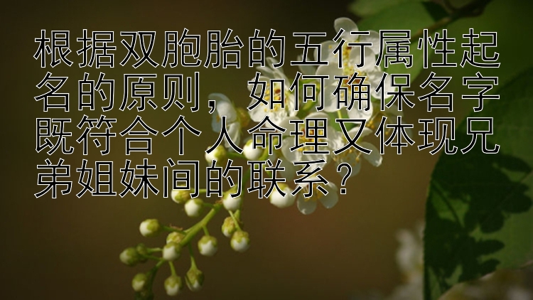 根据双胞胎的五行属性起名的原则，如何确保名字既符合个人命理又体现兄弟姐妹间的联系？