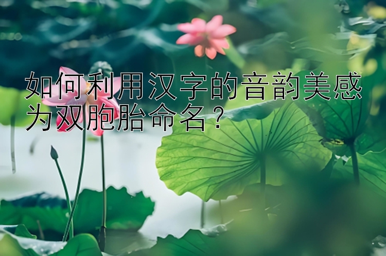 如何利用汉字的音韵美感为双胞胎命名？