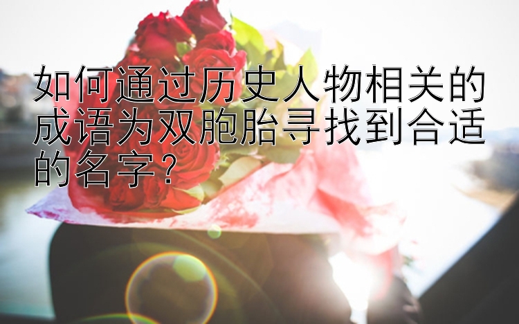 如何通过历史人物相关的成语为双胞胎寻找到合适的名字？