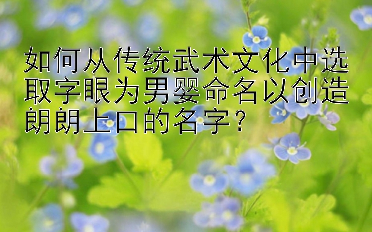 如何从传统武术文化中选取字眼为男婴命名以创造朗朗上口的名字？