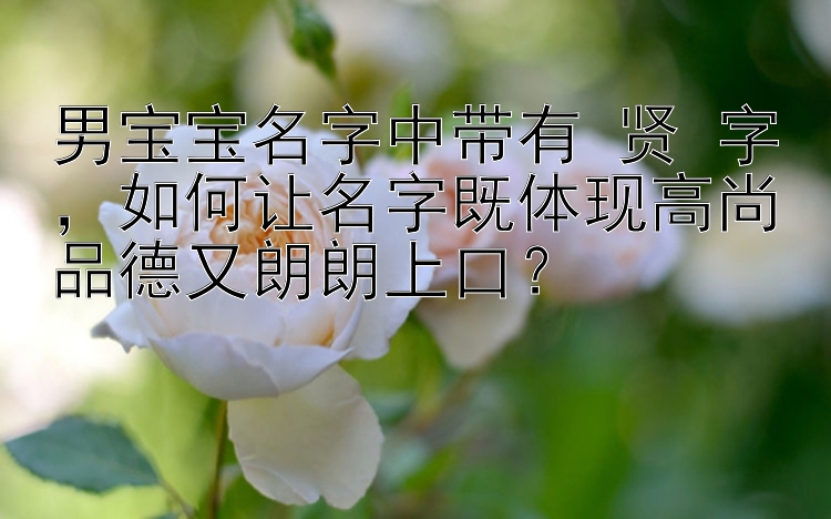 男宝宝名字中带有 贤 字，如何让名字既体现高尚品德又朗朗上口？