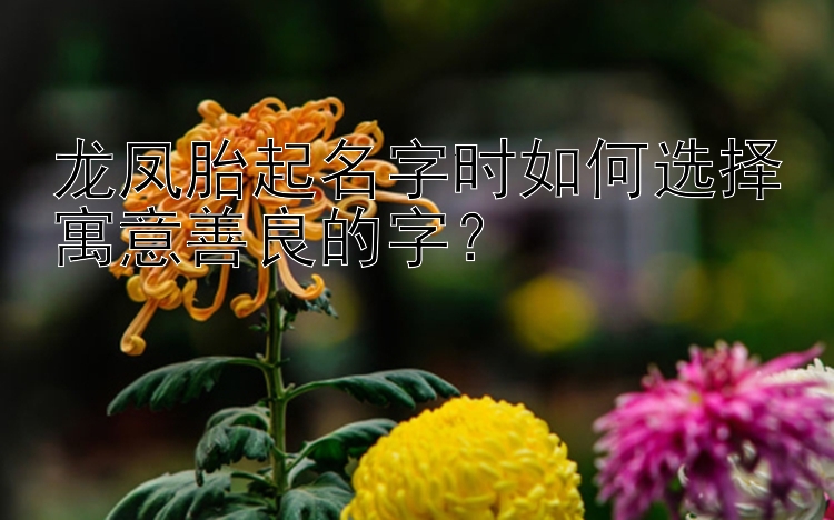 龙凤胎起名字时如何选择寓意善良的字？