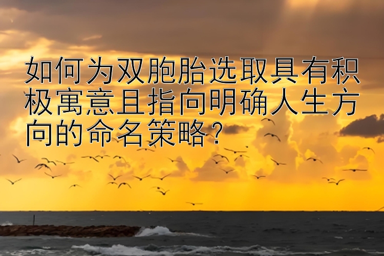 如何为双胞胎选取具有积极寓意且指向明确人生方向的命名策略？