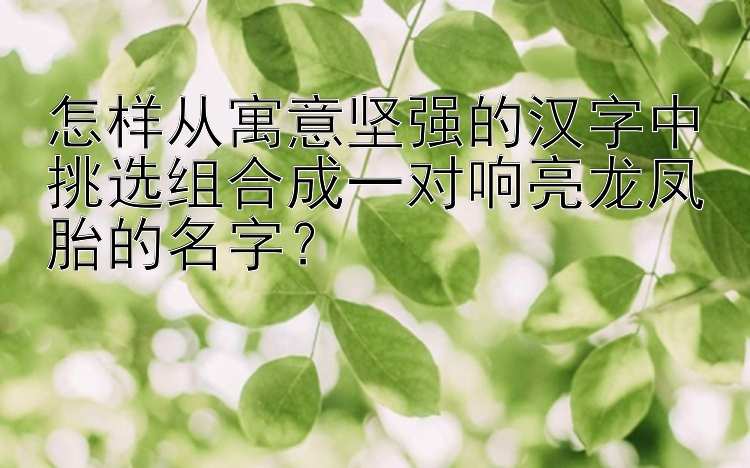 怎样从寓意坚强的汉字中挑选组合成一对响亮龙凤胎的名字？