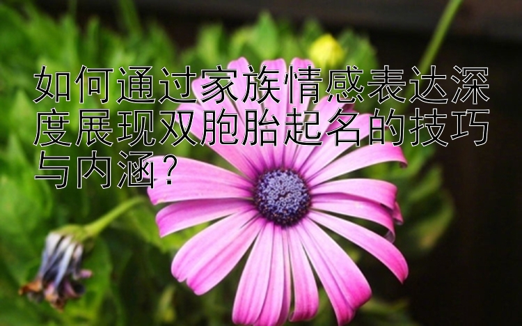 如何通过家族情感表达深度展现双胞胎起名的技巧与内涵？