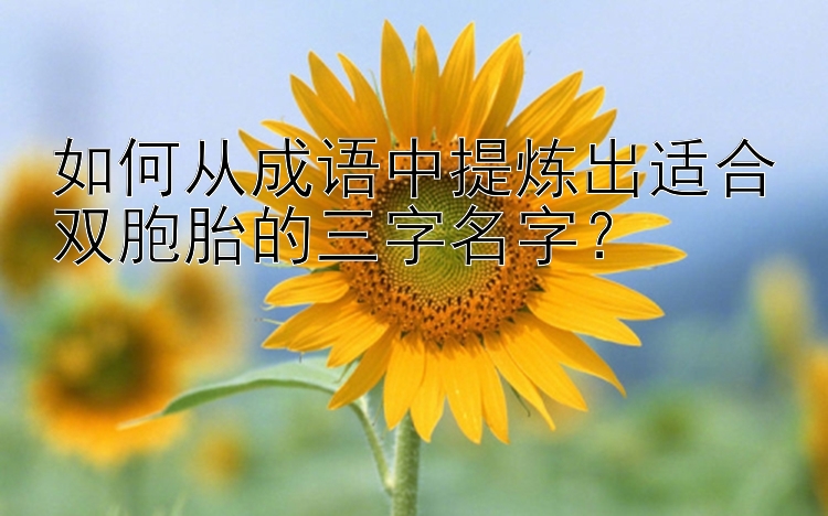 如何从成语中提炼出适合双胞胎的三字名字？