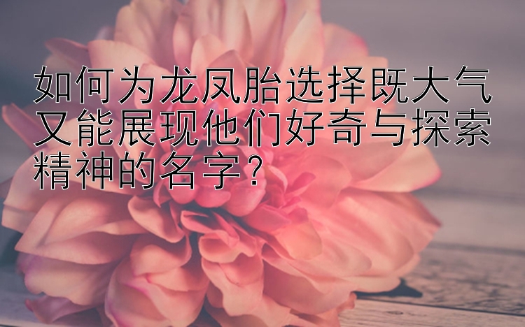 如何为龙凤胎选择既大气又能展现他们好奇与探索精神的名字？